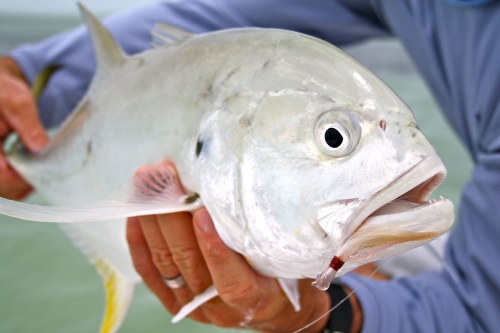 5 trucos para conseguir buenos resultados en las competiciones de pesca deportiva en España