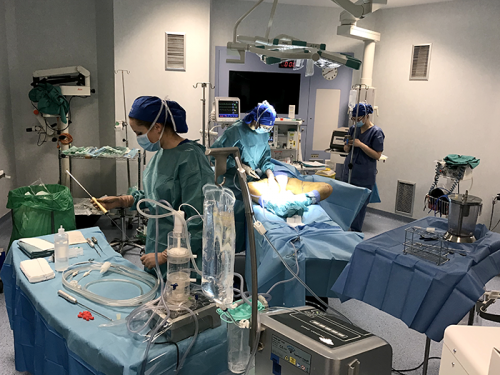 Aurea Clinic a la cabeza del uso de células madre para tratar la osteoartritis