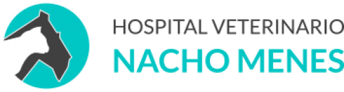 El Hospital Veterinario Nacho Menes, expone las causas y transmisión de la leishmaniosis canina