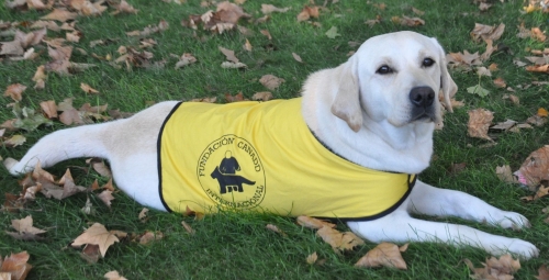 La Fundación Canadd Internacional preparará un Perro de Asistencia para Enfermedad de Alzheimer