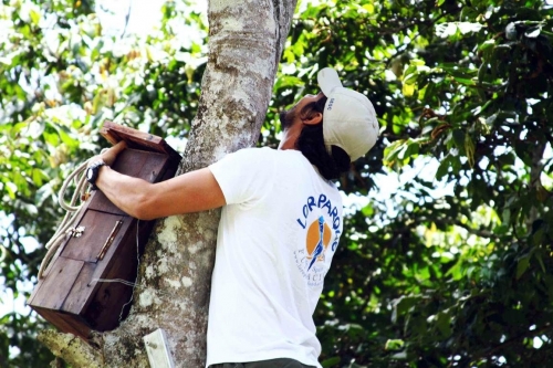 Loro Parque Fundación abre su plazo para la recepción de nuevos proyectos para el año 2020
