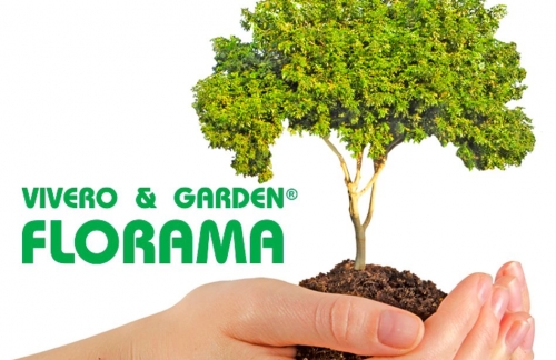 La importancia de la poda de árboles y el mantenimiento del jardín, por FLORAMA