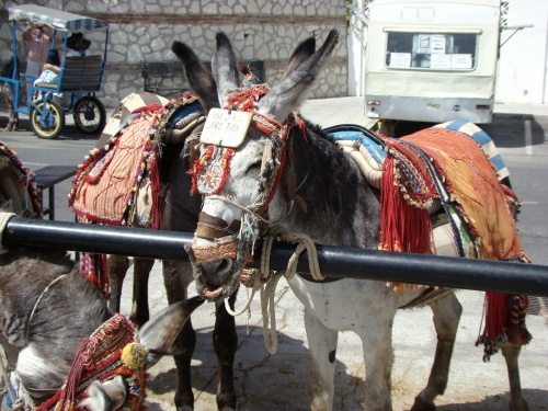 La tradición de Mijas