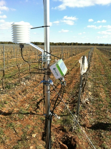 La tecnología de un buen vino