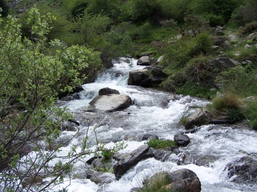 “Agua dulce” en Málaga