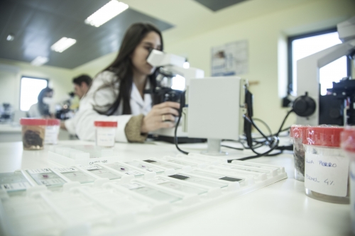 Cesur da impulso a la FP en Extremadura con la apertura de un nuevo centro en Cáceres con capacidad para más de 700 alum