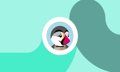 Guía Paso a Paso: Instalación y Configuración de PrestaShop en tu Hosting