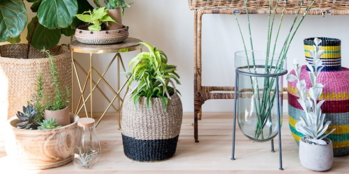 Creative Co-op colabora con Centric