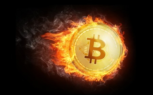 Criptomoneda para principiantes