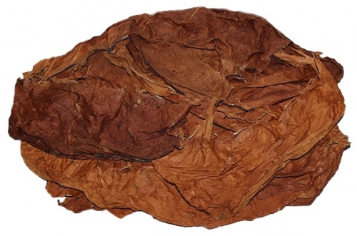 Generalidades de la hoja de tabaco burley