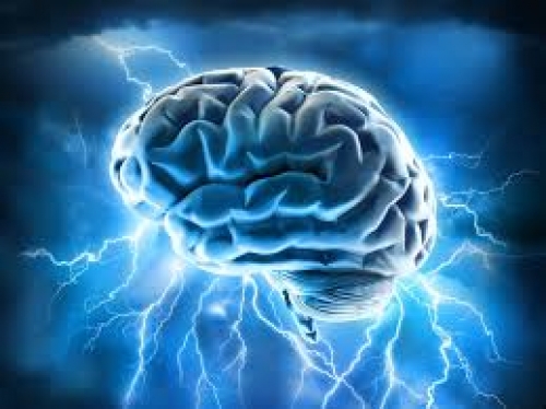 AlphaXYZ – Un suplemento optimizador del cerebro está ganando popularidad en Europa