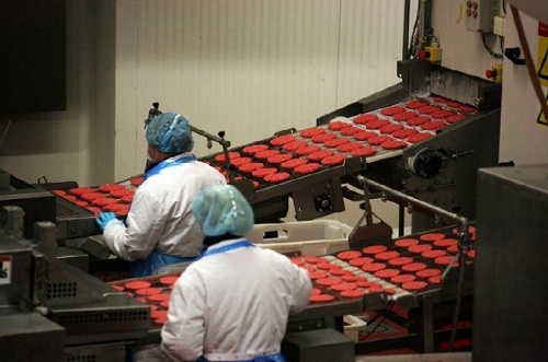El asesoramiento ISO 9001 / 22000 que su empresa necesita