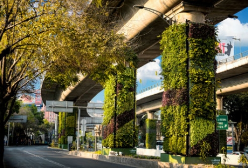 Jardines verticales en espacios públicos