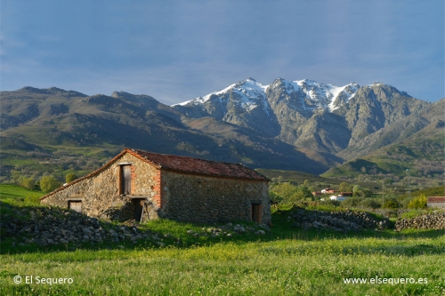 EL MICROCLIMA DE CANDELEDA Y EL AGUA DE SUS GARGANTAS, ELEMENTOS ESENCIALES DE PIMENTÓN EL SEQUERO