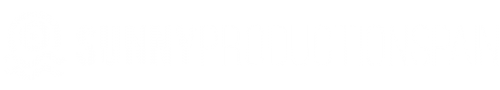 Services Production in Spain: Why It’s the Ideal Location for Your Next Project