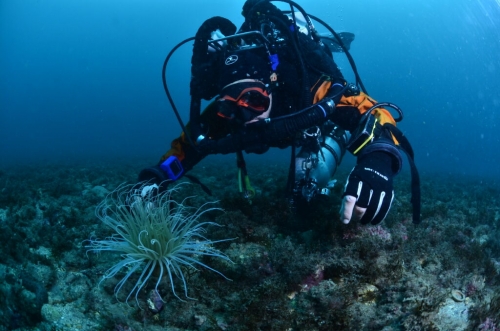 Descubre con Different Scuba School, la magia del buceo en Granada