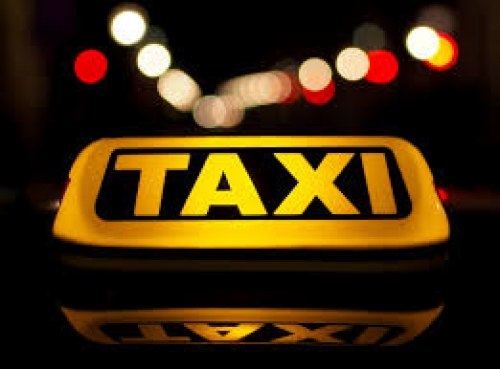 Nueva modalidad de taxi para sus mascotas