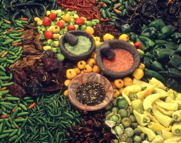 Alimentación de los zapotecas