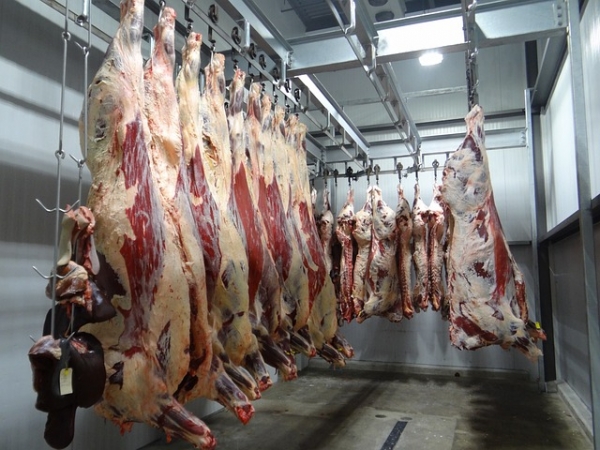 Seguridad Alimentaria en las Empresas Cárnicas
