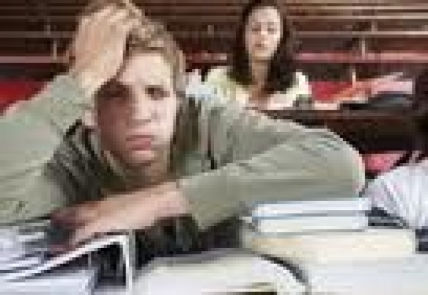 Bachillerato Internacional, una educación con salidas laborales