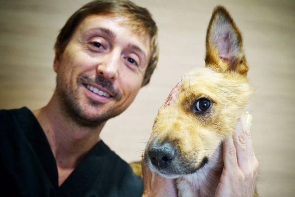 El caso de Sky, el perro maltratado, referente en cirugía veterinaria europea