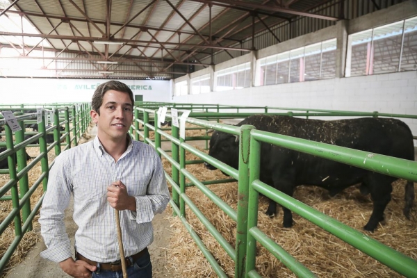 La Feria Agroganadera de Trujillo abre sus puertas con la intención de batir récords