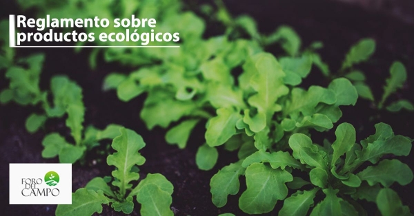 Foro del Campo inicia un debate sobre el nuevo Reglamento para la agricultura ecológica 