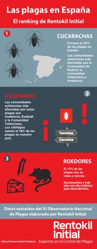 Cucarachas, el enemigo público de los españoles en lo que se refiere a plagas
