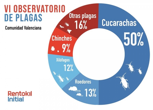 Casi el 50% de las llamadas por plagas en la Comunidad Valenciana en 2017 se debieron a las cucarachas