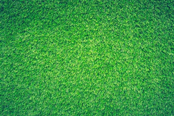 Aumenta la demanda de césped artificial para la nueva temporada, Según Erojardín