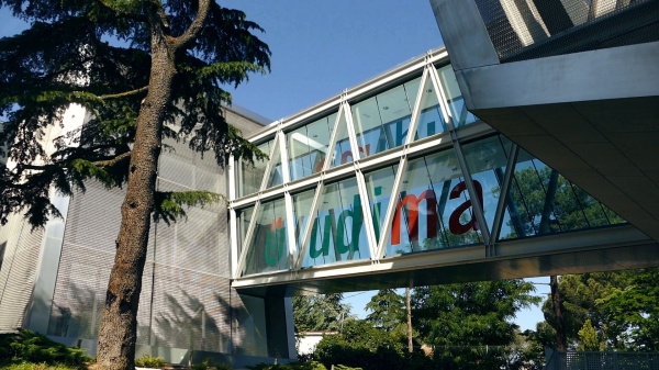 Decálogo para hacer la tesis doctoral sin caer en el desánimo