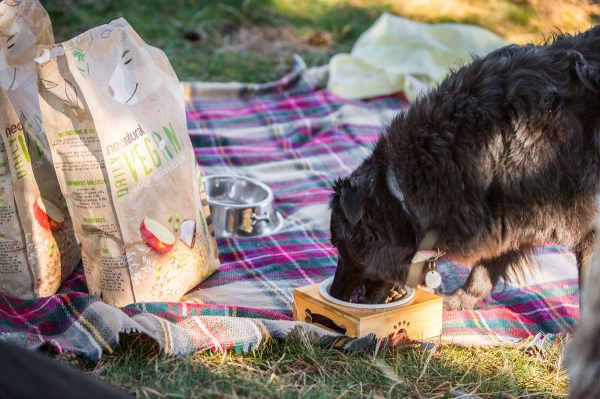 NeoNatural dona más de 200kgs de alimento para perros 100% vegetal por el Día Mundial de los Animales