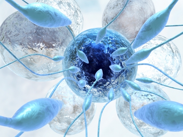 CumPlus aumento de la calidad y volumen del esperma