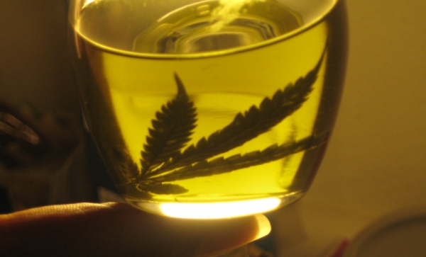 Ventajas de consumir marihuana