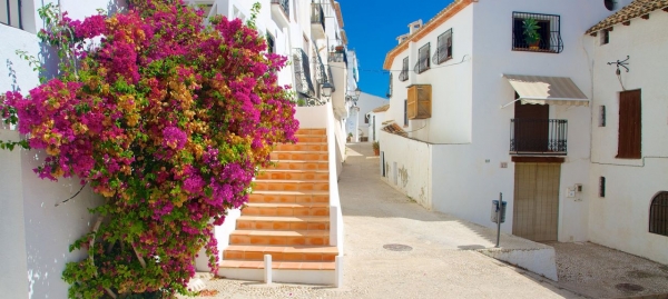 Disfrutar Alicante