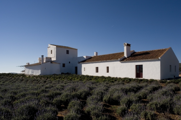José Baganha, Premio Rafael Manzano de Aqruitectura