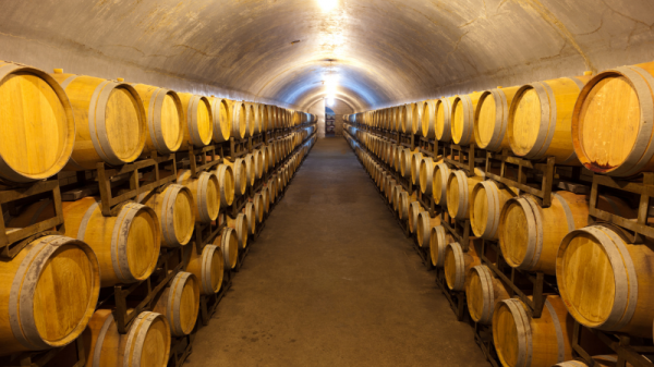 Escapada con cata de vinos