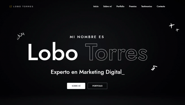 Líder en Estrategias de SEO Efectivas