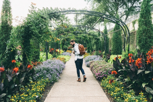 Jardincelas: Empresa de jardinería en A Coruña