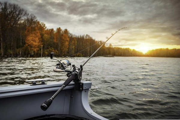 Información para licencias de pesca