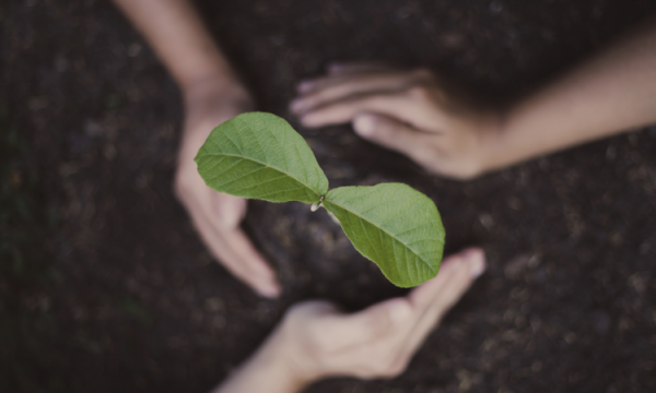 Grupo Tarraco Formación, líder en educación y sostenibilidad ambiental