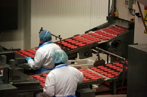 El asesoramiento ISO 9001 / 22000 que su empresa necesita