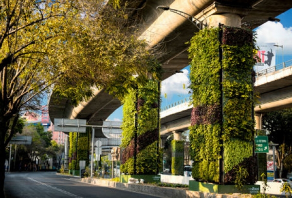 Jardines verticales en espacios públicos