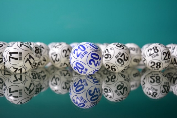 ¿Cómo jugar bingo online?