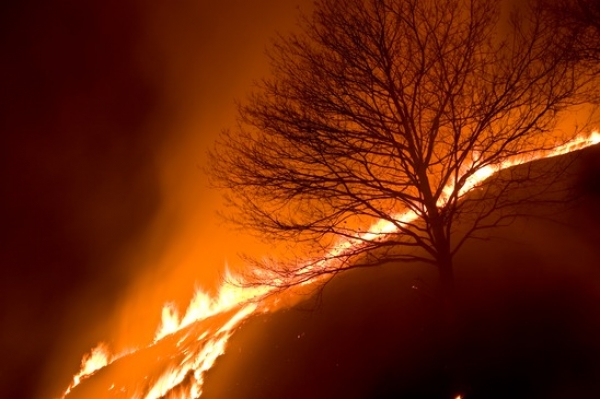PROTECCIÓN Y EXTINCIÓN DE LOS INCENDIOS   