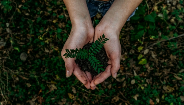 Konica Minolta: Un compromiso permanente con la sostenibilidad y el medio ambiente