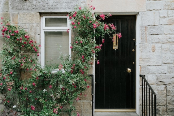 ¿Cómo saber si una puerta es de madera maciza?