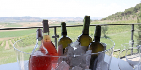 Los mejores vinos españoles