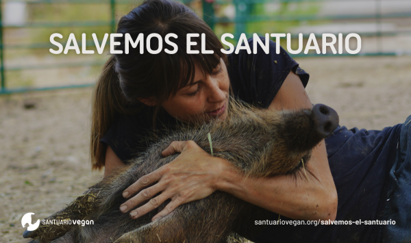 La Fundación Santuario Vegan lanza la campaña "Salvemos el Santuario" para poder mudarse al nuevo terreno 