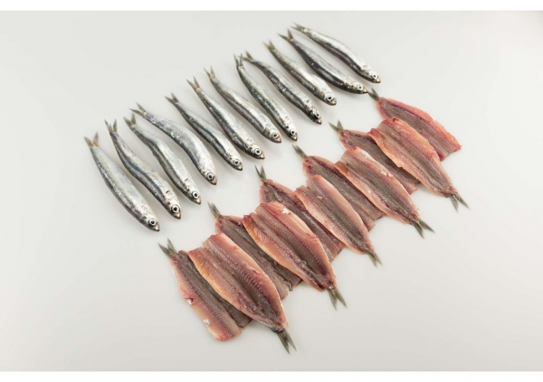 La Pescadería de María: variedades de temporada, la manera fácil y económica de incluir pescado en una dieta